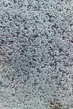 Uneven wall surface texture Stock Photos