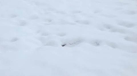 Uneven White Snow Surface Foto stock