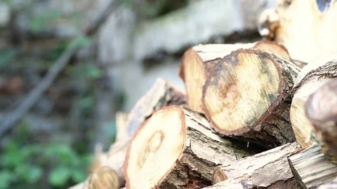 Uneven wood stacks Stock Footage 95837554