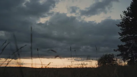 Unexpected fall of a man from a bicycle Stock Footage 91614467