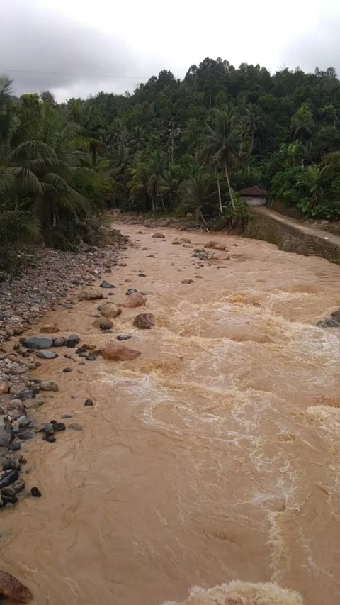 Unexpected flood Stock Footage 218354667