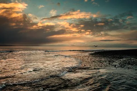 Unexpected gift Stock Photos