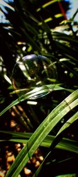 Unexpected Placement  Stock Photos