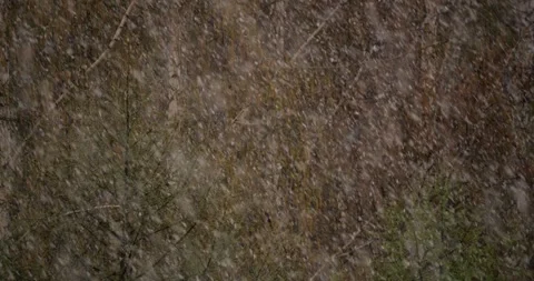 Unexpected summer snowfall during heatwave. Climate anomaly snow in June July. Stock Footage 317559111