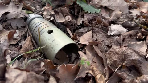 Unexploded 3B30 Submunition Found in Forest Leaf Litter Stock Footage 338240609