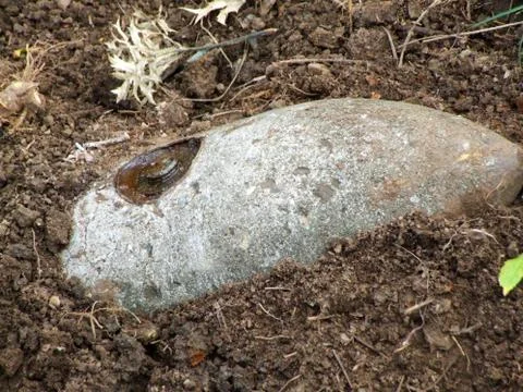 An unexploded bomb Stock Photos