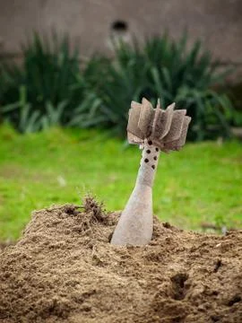 Unexploded grenade Stock Photos