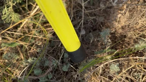 Unexploded KOBE 3B30 Cluster Submunition Concealed in Dry Grass Stockbeeldmateriaal 344027497