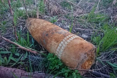 An unexploded shell from World War II found in a forest. Stock Photos