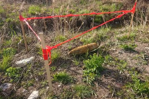 An unexploded shell from World War II found in a forest. Stock Photos