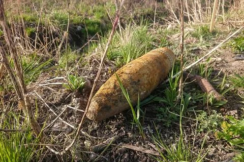An unexploded shell from World War II found in a forest. Stock Photos