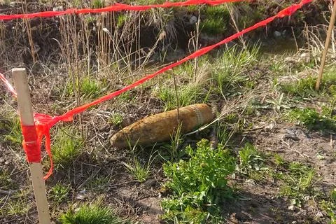 An unexploded shell from World War II found in a forest. Stock Photos