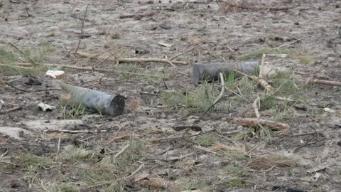 Unexploded shells on the ground Video stock 195800790