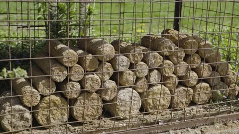 Unexploded World War 1 Shells, Unearth. Ypres Salient, Belgium. 4K Stock Footage 136361265