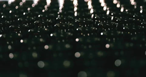 Unfilled Beer Bottles in Brewery, Camera Circling Around Stock Footage 335143145