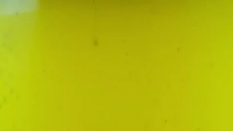 Unfiltered beer and beer bubbles Stock Footage 145482565