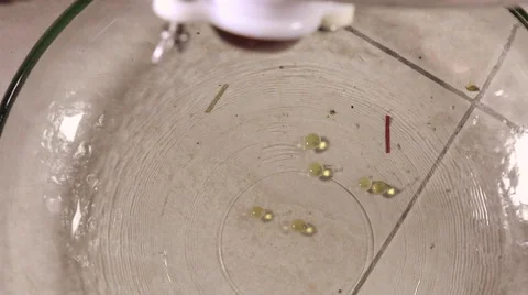 The unfiltered honey flowing from machine Stock Footage 53428989