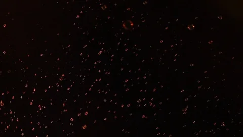 Unfocused abstract video of soap bubbles on the background of the night sky Stock Footage 121590603