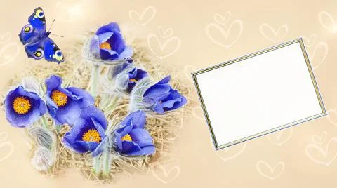 Unfocused background with text frame, tinted butterflies, blooming blue snowd Foto stock