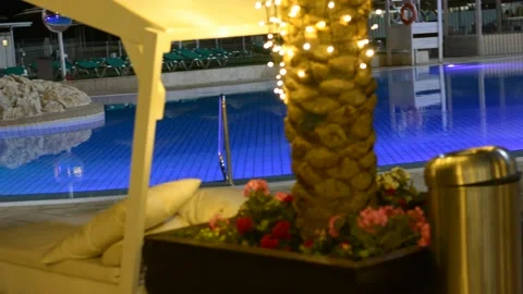 Unfocused lights on palm tree at evening	 스톡 동영상 163079374