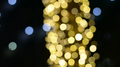 Unfocused lights on palm tree at evening	 스톡 동영상 163079400