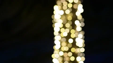 Unfocused lights on palm tree at evening	 Stock Footage 164113554