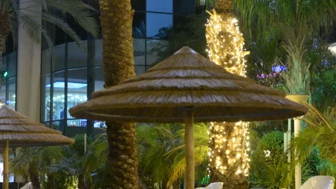 Unfocused lights on palm tree at evening	 Stock Footage 164113719