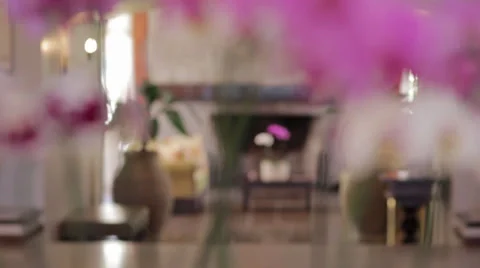 UNFOCUSED ORCHIDES CLOSE UP Stock Footage 34331855