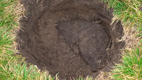 Unfolding the bottom layer of soil befor... | Stock Video | Pond5