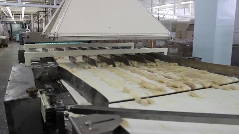 Unglazed white candy bars move on a conveyor belt in a candy factory. Stock Footage 128643084