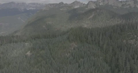 Ungraded 4k Aerial Pullout Vertical Pan Mountain Forest Mt Rainier Washington. Stock Footage 262602418