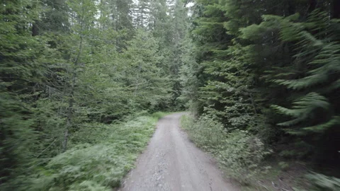 Ungraded 4k Pullout Drone Footage Dirt Road Green Forest Washington State. Stock Footage 262653975