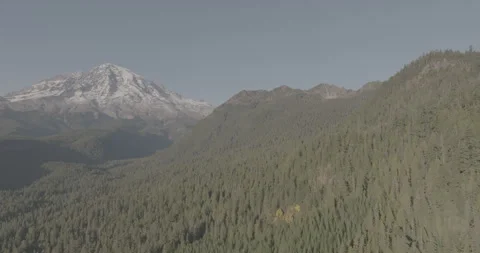 Ungraded 4k Wide-angle Drone Footage Sunny Evening Mt. Rainier Washington State. Stock Footage 262566616