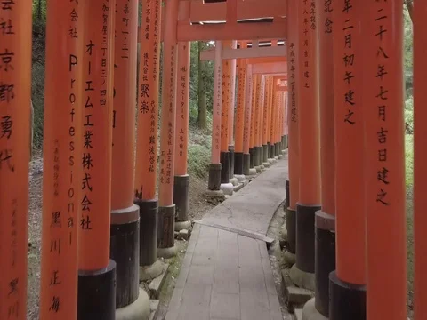 Ungraded color, Fushi Inari Taisha, Kyoto Red Torii Gates, Japan Walk through #1 Stock Footage