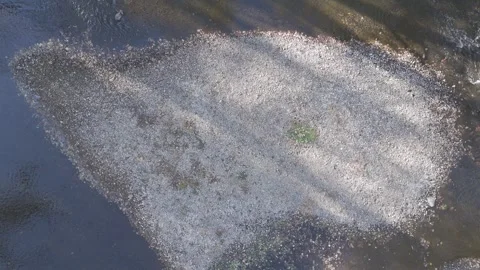Ungraded - Drone Flying Over River &amp; Lake w/ Mountains Stock Footage 311293027