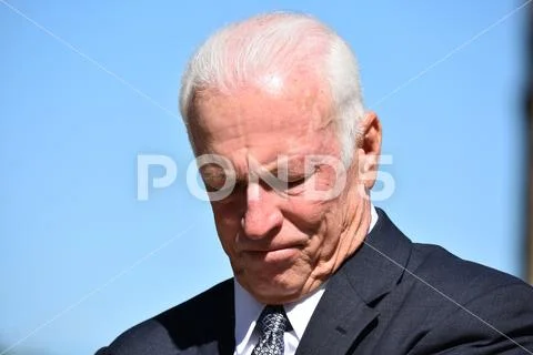 Unhappy Adult Senior Investor Isolated Stock Photos