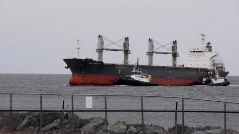 UNI WEALTH IMO 9539743 BULK CARRIER SAINT JOHN HARBOUR Stock Footage 344231696