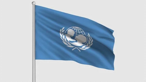 UNICEF Flag Stock Footage 208867489