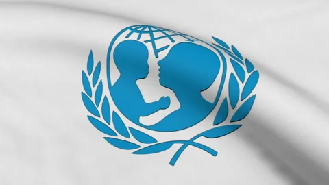 UNICEF Flag Loop Stock Footage 241275504