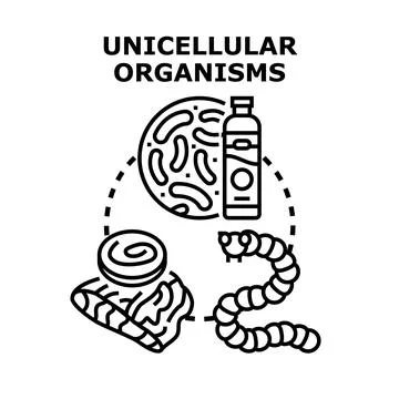 Unicellular organisms causing bacteria and parasite infections Stock Illustration