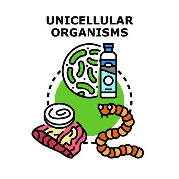 Unicellular organisms causing bacteria and parasite infections Illustrazione stock