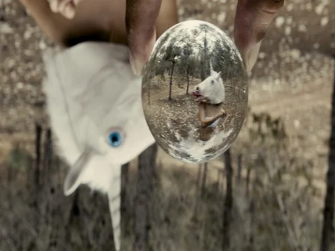 Unicorn fantasy Stock Footage 83926577