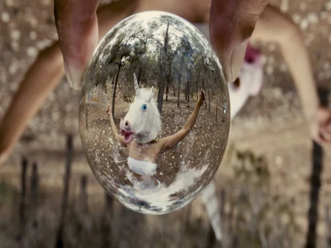 Unicorn fantasy in the forest Stock Footage 83926448