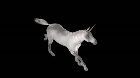 Unicorn Gallop - White - Natural Horn - Top To Right - Loop - Alpha - 30fps Stock Footage