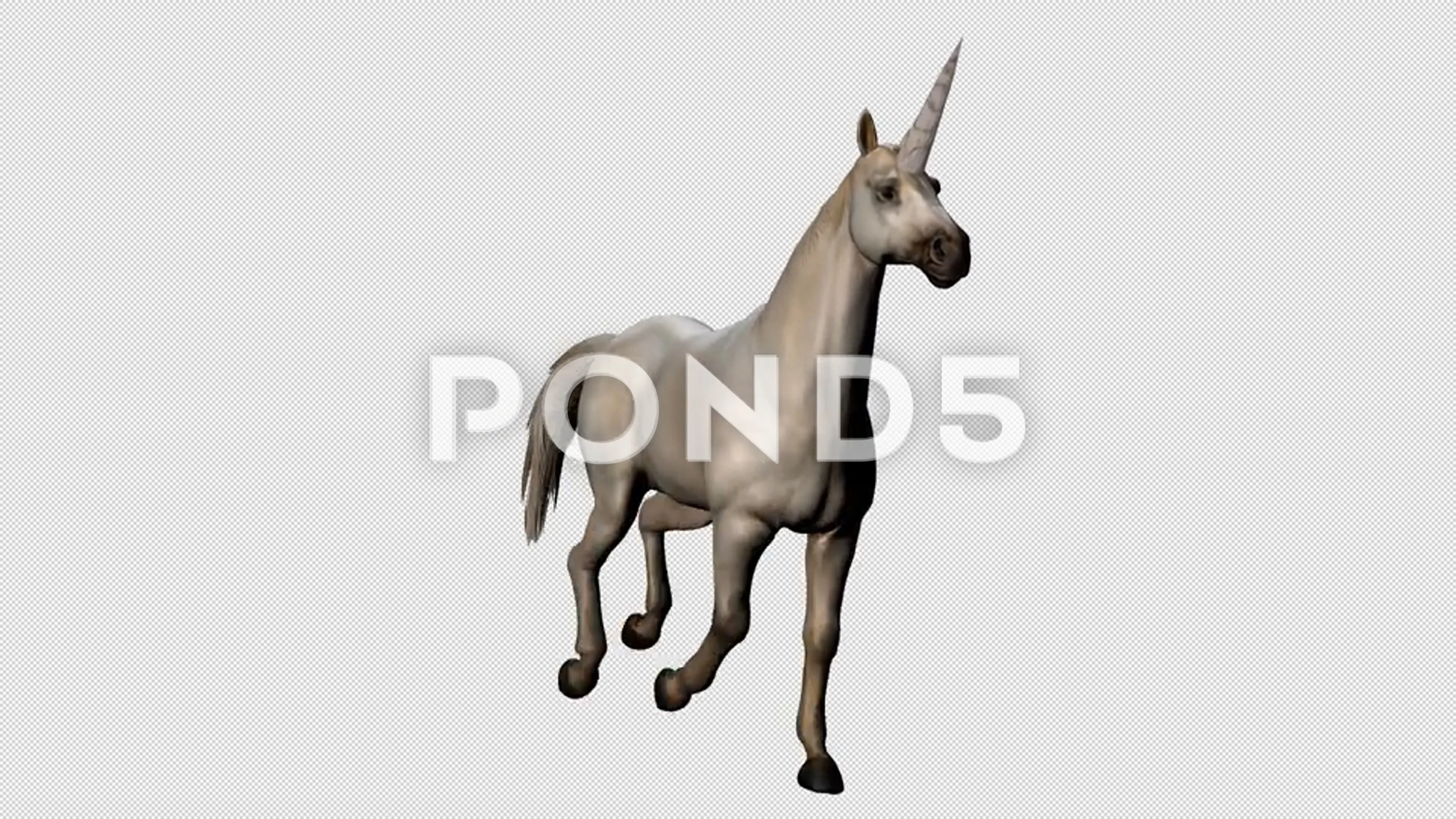 Unicorn Galloping Angle View Loop Green ... | Stock Video | Pond5