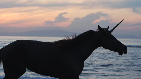 Unicorn gallops on beach during dawn, silhouette of mythical beast, slowmo Video stock 146745754