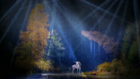 Unicorn inside Magic Forest near the Lake Stock Footage 143552416