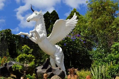 Unicorn jumping up in forest Stock Photos
