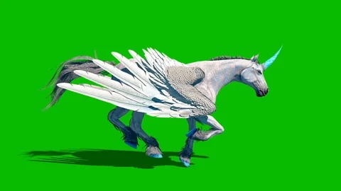 Unicorn Pegasus Winged Horse Runcycle Stock Video Pond5