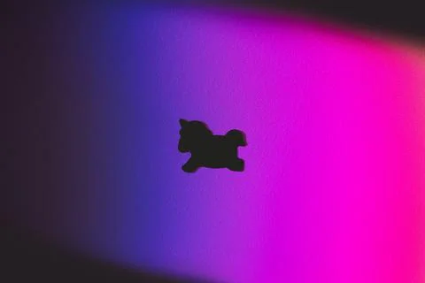Unicorn on rainbow background Stock Photos